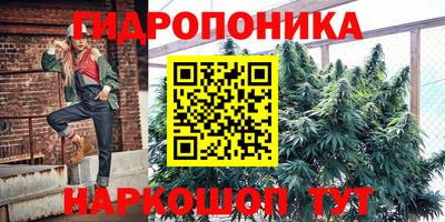 шишки Партизанск