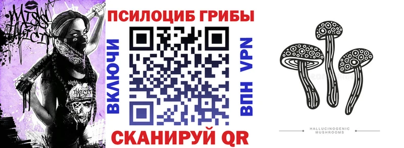 где продают   площадка состав  Псилоцибиновые грибы мухоморы  Сорочинск 
