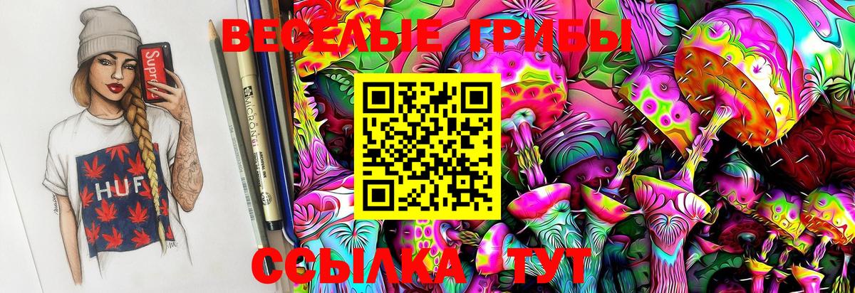 Сорочинск  Галлюциногенные грибы MAGIC MUSHROOMS  Вход с VPN 